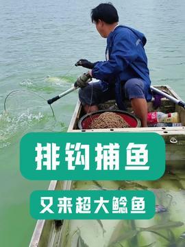 海钓最新视频,揭秘最新视频中的精彩瞬间与技巧分享