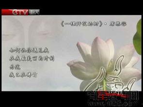 席慕蓉视频,诗意人生，心灵画卷