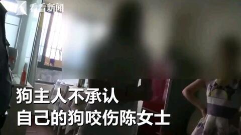 男女考妣的视频大全,全方位解析备考策略与技巧