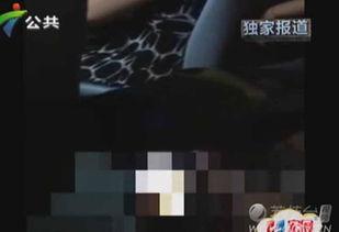 黄色视频哪里看,揭秘网络暗流涌动的秘密世界