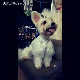 马匹窝视频在线观看